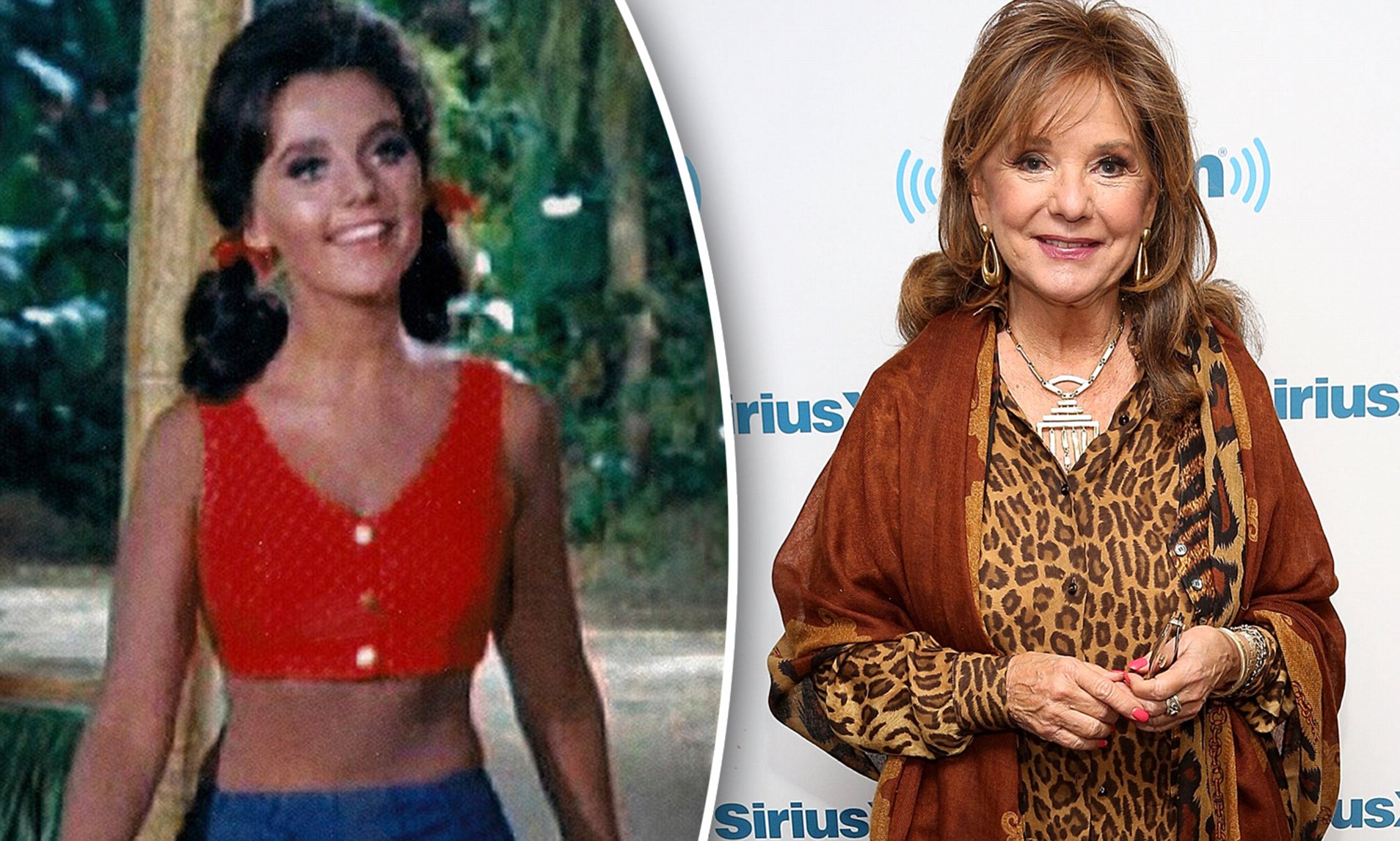 cristy castro recommends Dawn Wells Bra Size