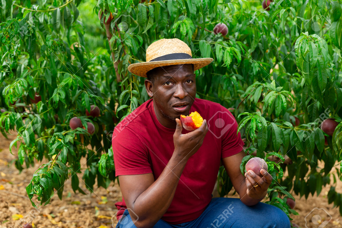 amanda hudspeth recommends Man Eating A Peach
