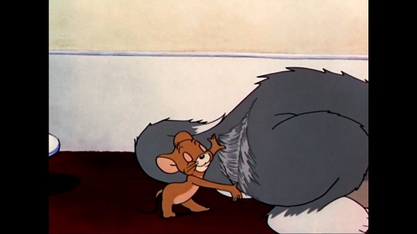 dionisio gerena recommends tom and jerry rule34 pic