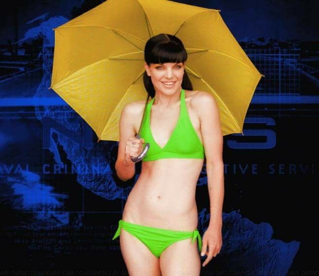 ann marie atkins recommends pauley perrette bathing suit pic