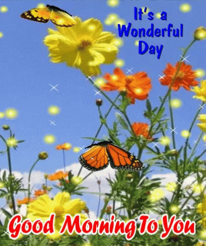 have a wonderful day gif