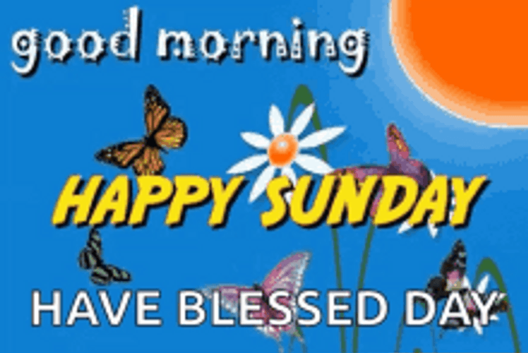 anna breon recommends blessed sunday gif pic