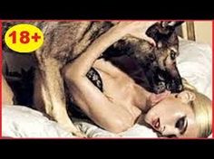 christopher loveday recommends women mating with dogs pic
