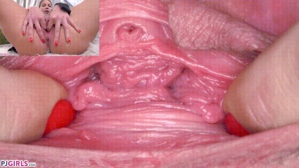 dan sauvageau share close up vagina porn photos
