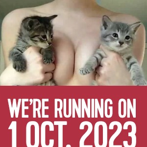 titties and kitties