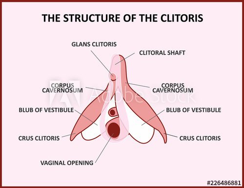 Best of Mujeres de clitoris grande