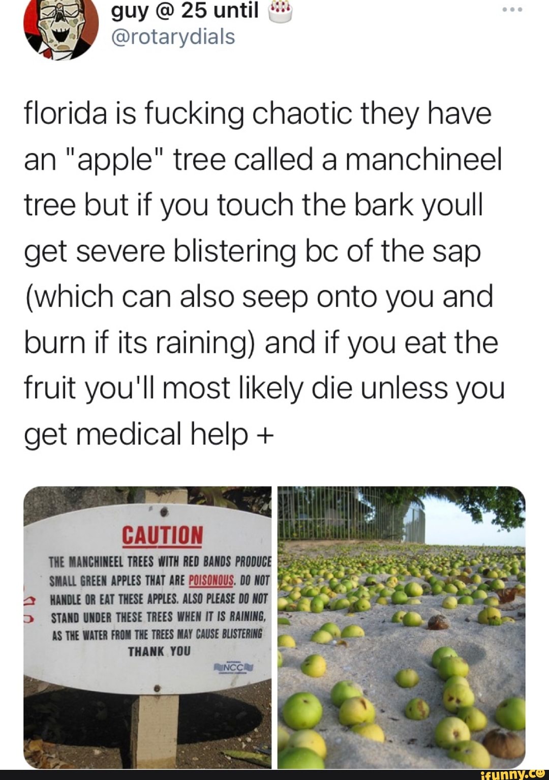 Guy Fucking A Fruit review site