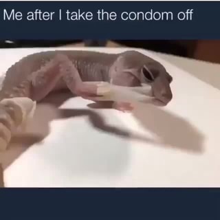 Best of Take that condom off