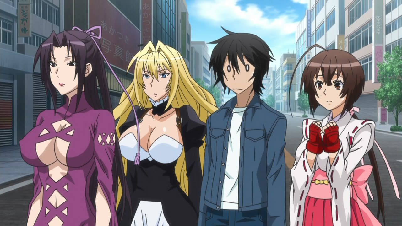 donna m glenn recommends anime like infinite stratos pic
