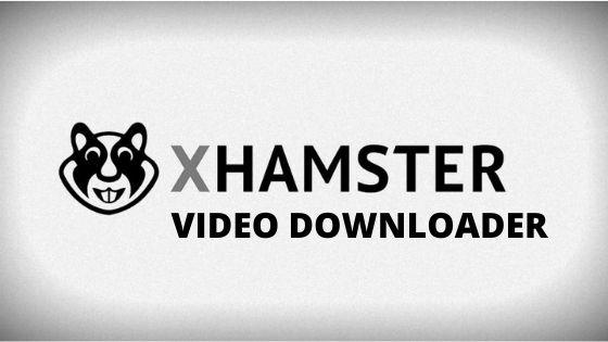 dan polansky recommends X Hamster Free Download