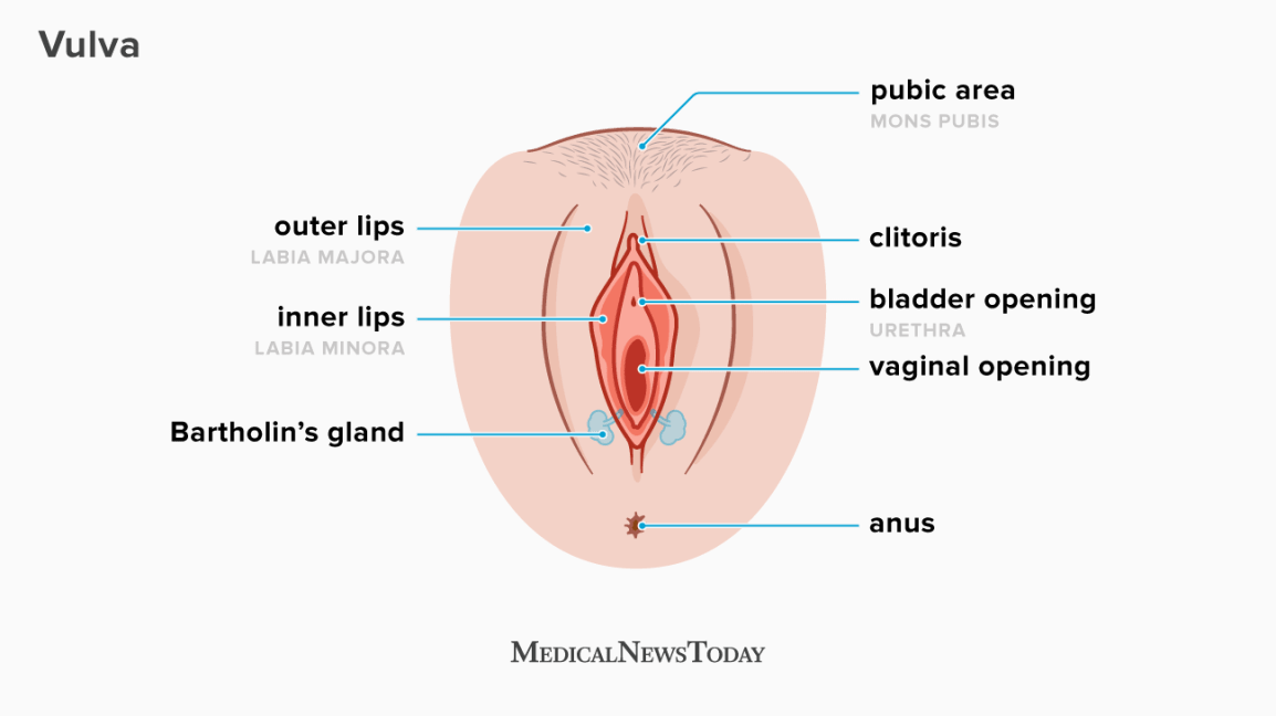 daniel barrows recommends vagina pics com pic