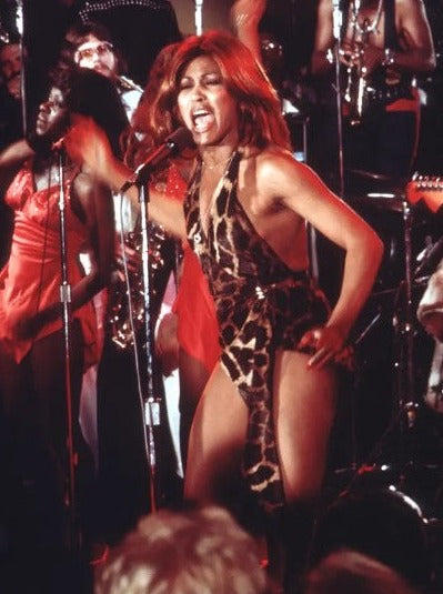 christina scarpa recommends tina turner bikini pic