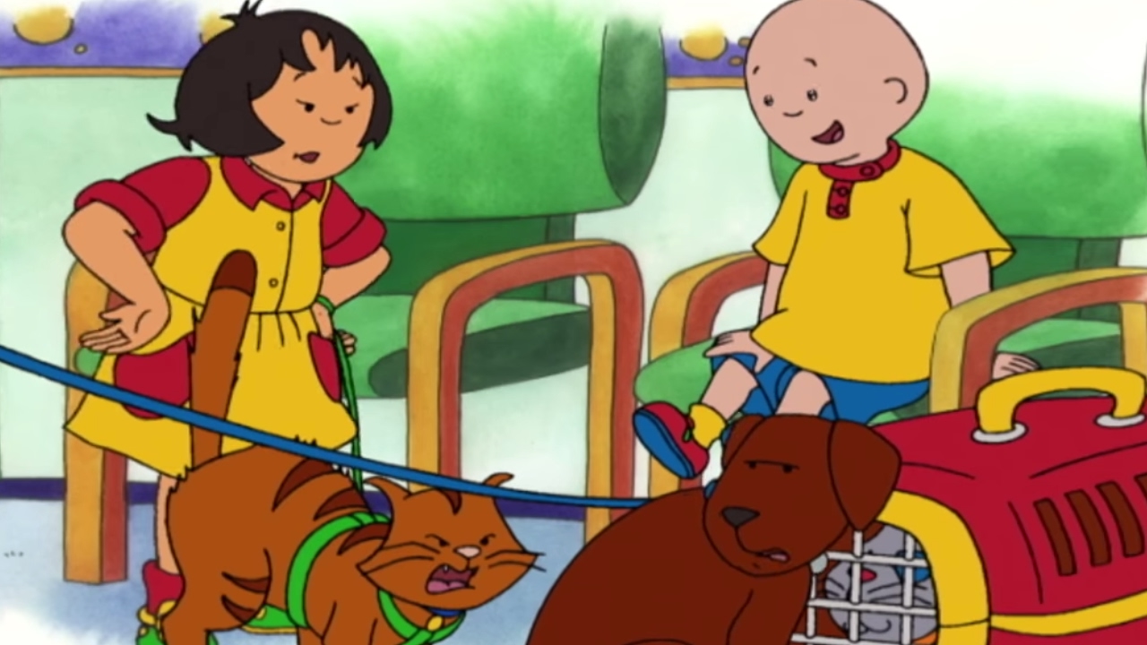 aamir sharif add caillou videos full episodes photo