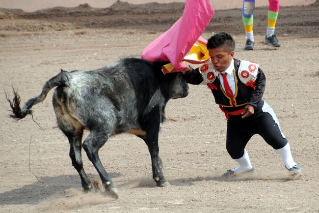 videos de enanitos toreros