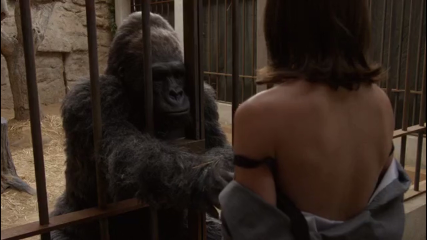 bianca toader recommends Woman Has Sex With Ape