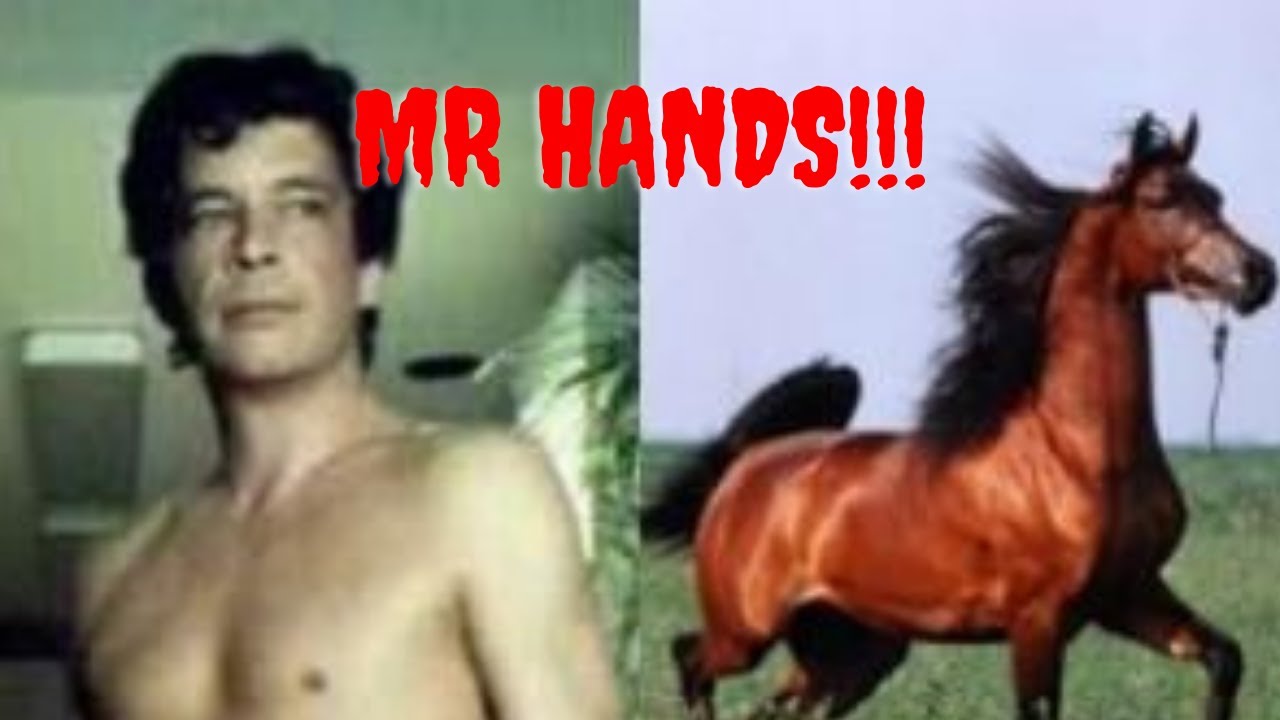 derek stiller add mr hands video photo