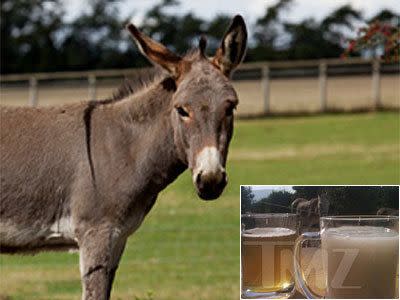 andreas wibawa share donkey juice fear factor photos