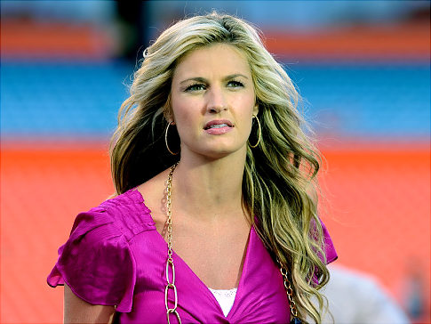 erin andrews peephole pictures
