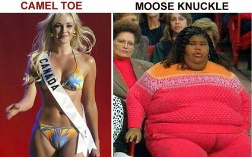 Moose Knuckle Vs Camel Toe kitchen fuck