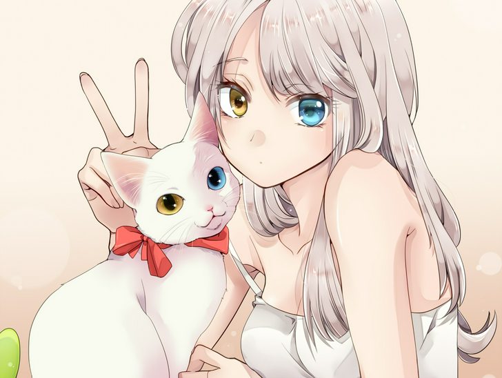 cute neko girl with white hair