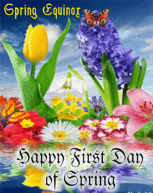 chandrika shah share happy first day of spring gif photos