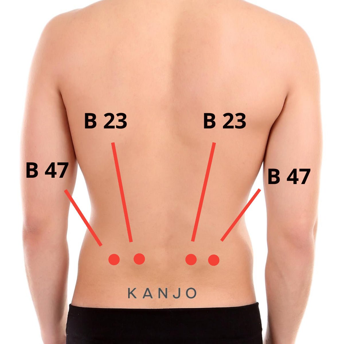 daniel shallam recommends massage sex trigger points pic