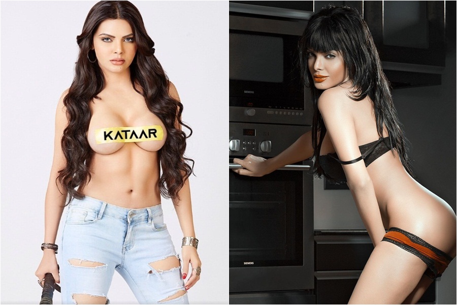 asaf moshe recommends sherlyn chopra sex scene pic