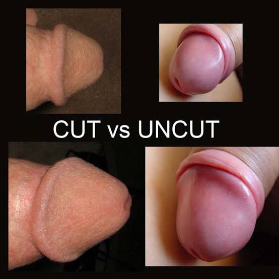 Best of How to suck an uncircumsized penis