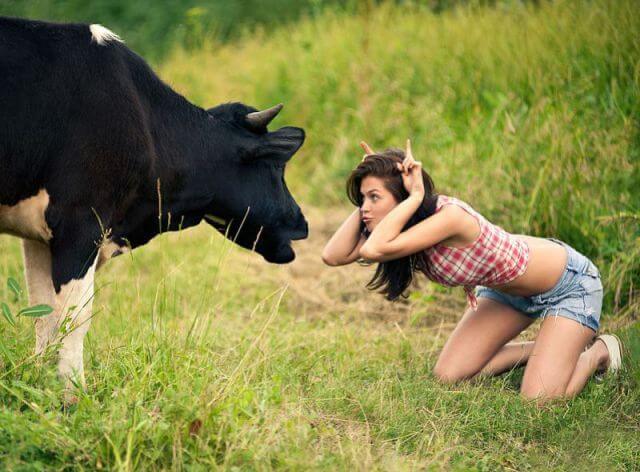 bo guan recommends Girl Has Sex With Cow