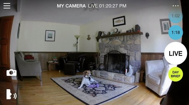 andy teague share reel life home cam photos