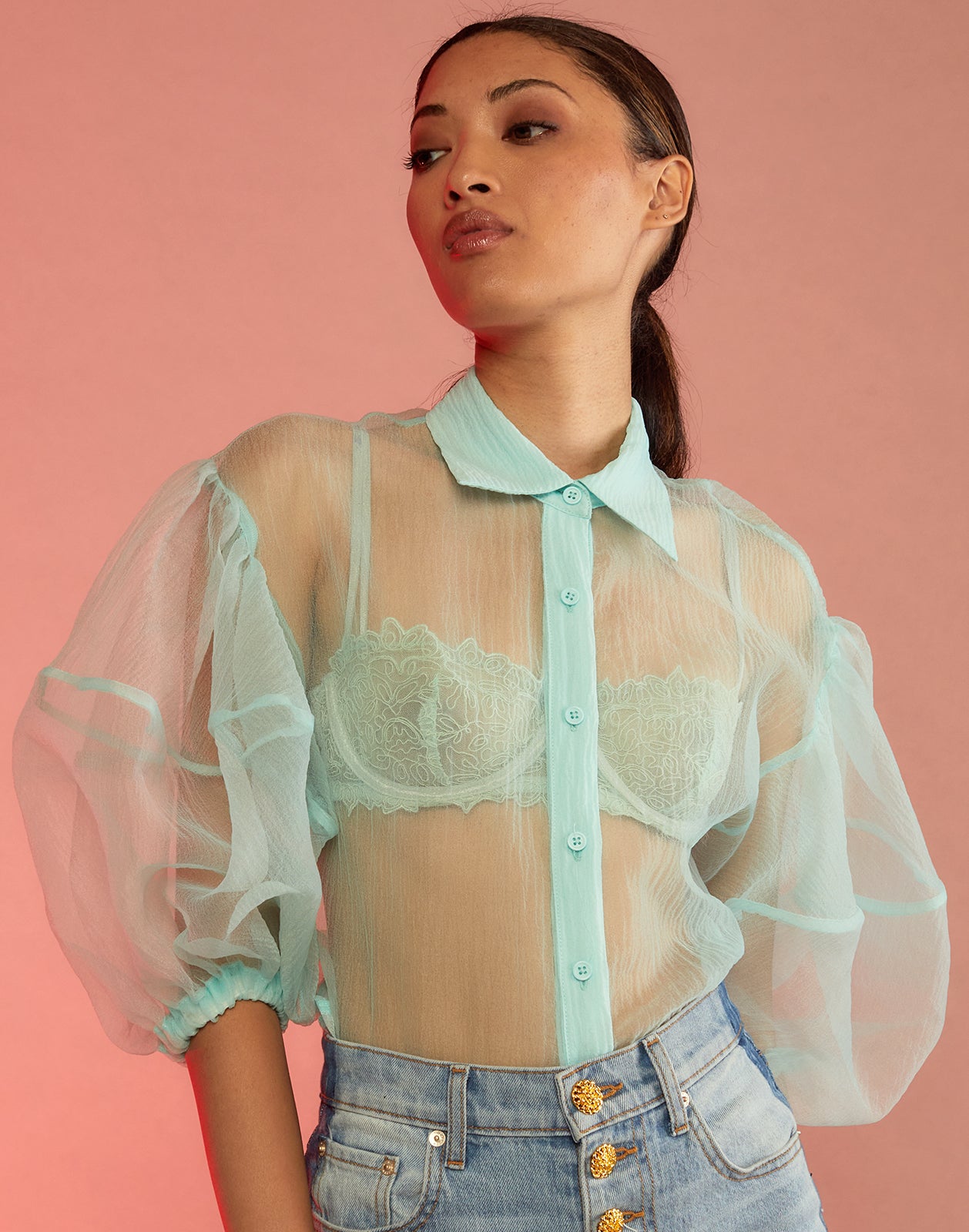chris burritt recommends See Through Blouses Images