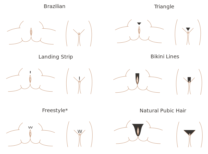 danielle elizabeth gilbert recommends bikini wax design pictures pic