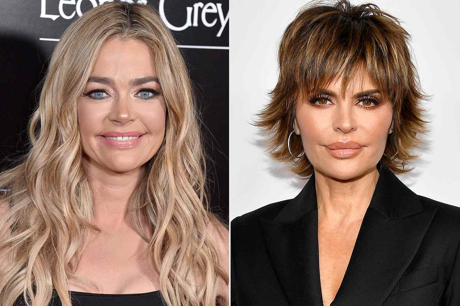dewa alit recommends Denise Richards Look Alikes