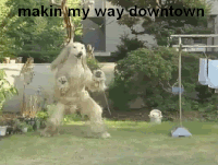 annie schaefer recommends making my way downtown gif pic