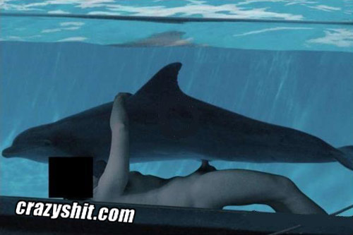 dale showers recommends Sex With Dolphin Video