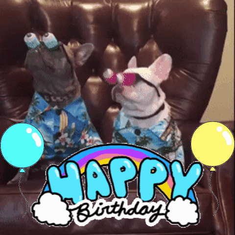 allen ling recommends Happy Birthday Gif Funny For Him