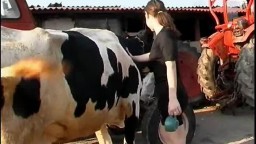 Girl Has Sex With Cow body porno