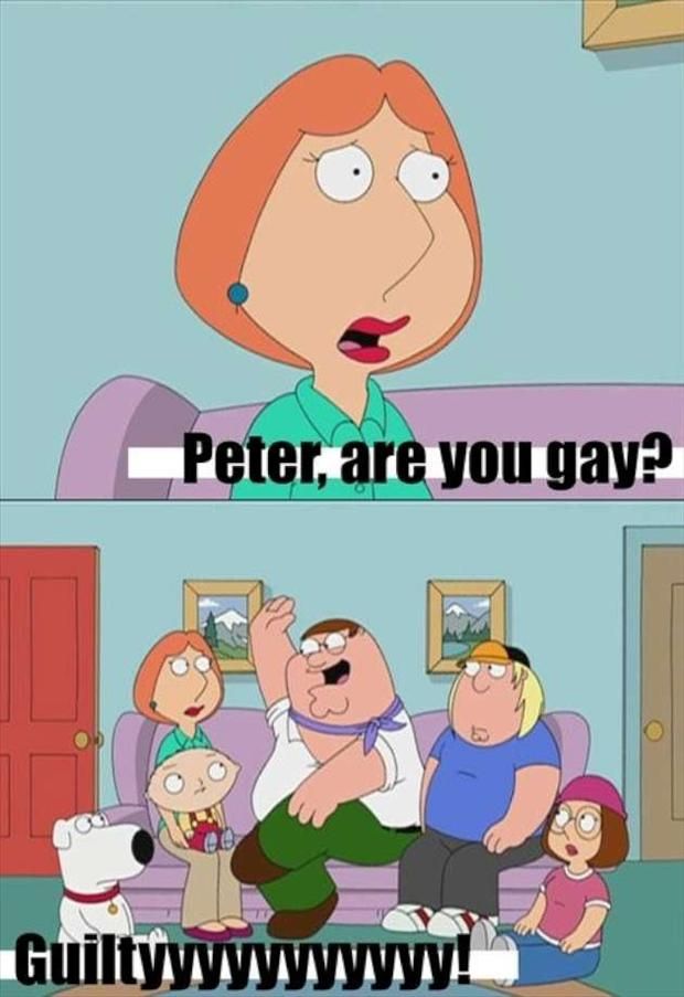 andy greene add peter griffin guilty gif photo