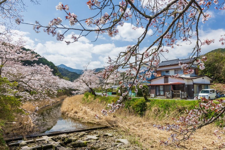 christopher marren recommends japanese mature center@village pic