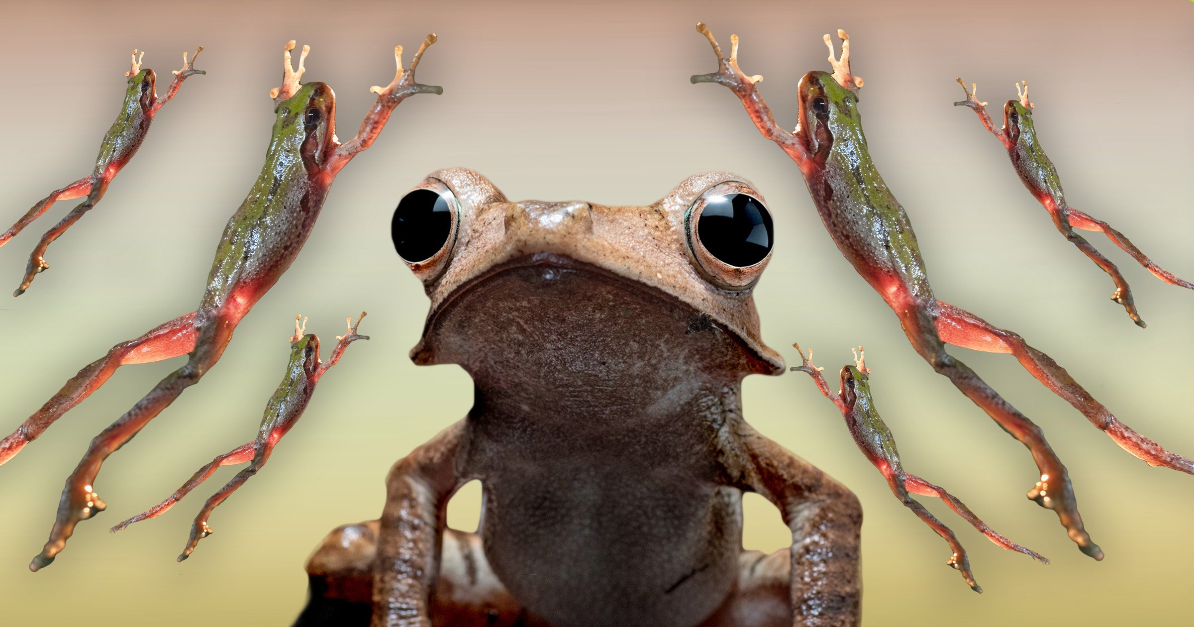 adam klich recommends Frog Leap Sex Position
