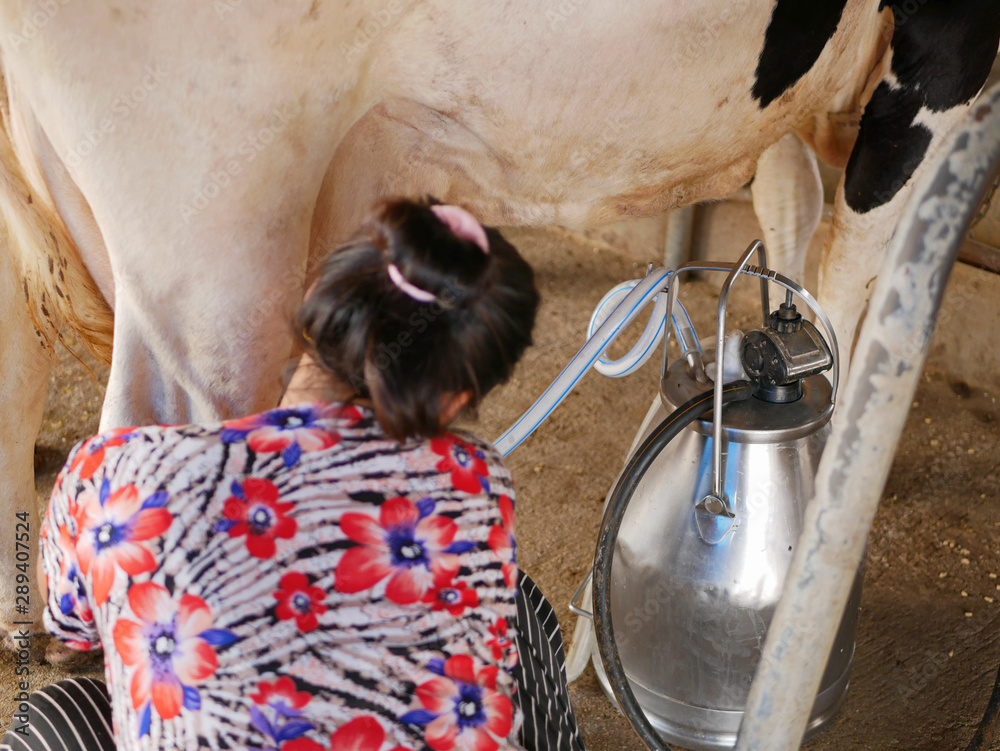amanda hommerding share women on milking machines photos