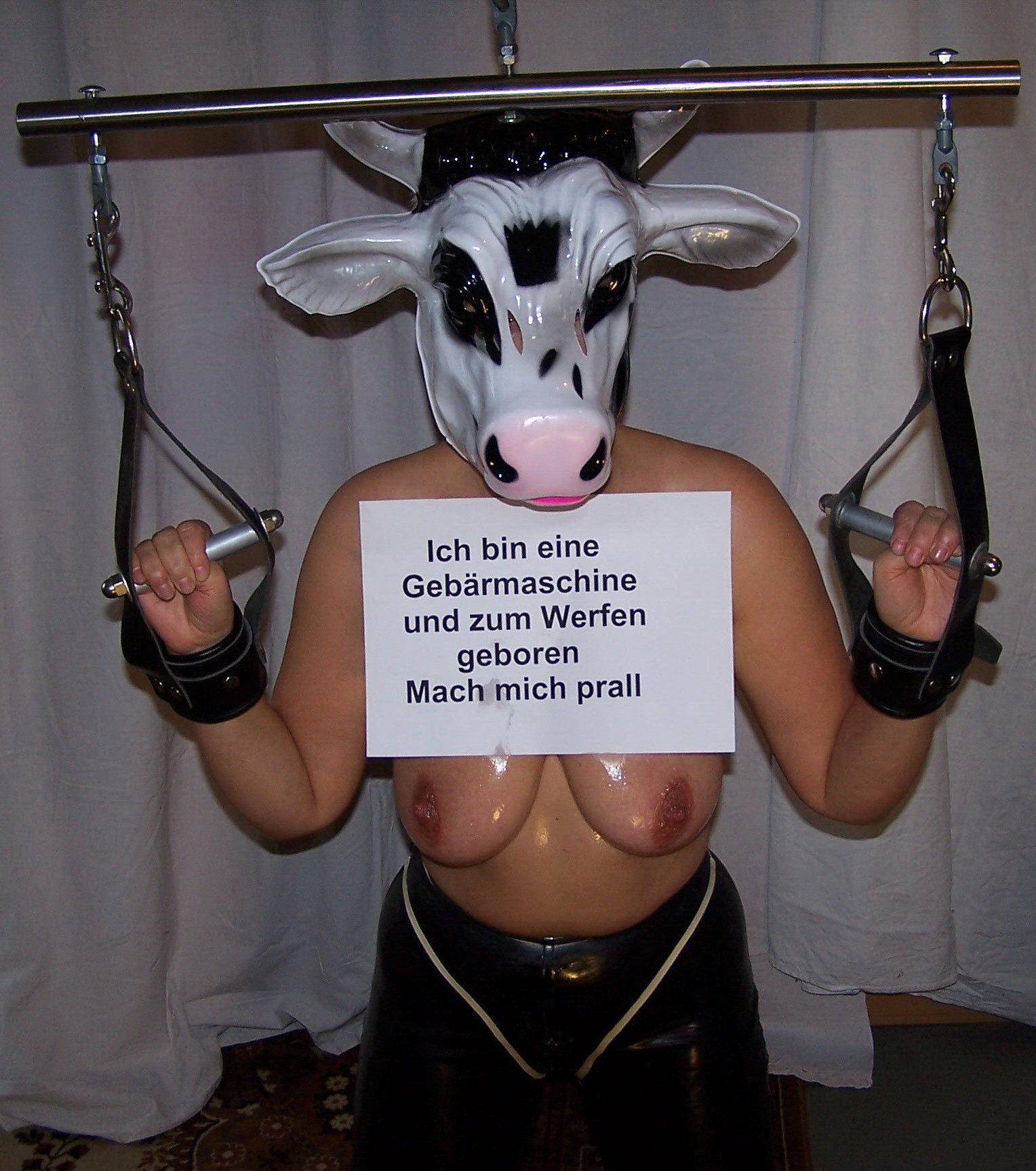 denise rosa recommends Cow Milking Machine Porn