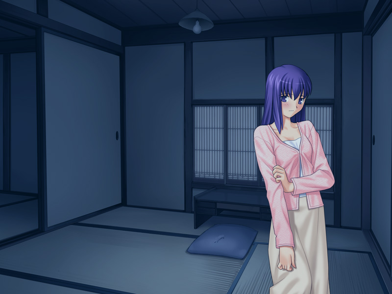 fate stay night visual novel sex