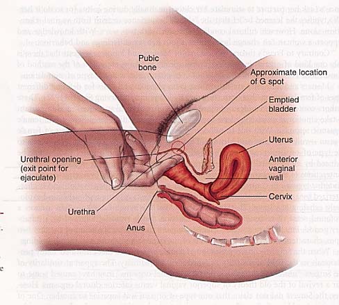 g spot orgasm tube