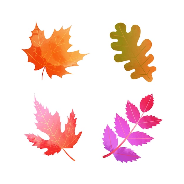 carol cochran recommends color of autumn 94 pic