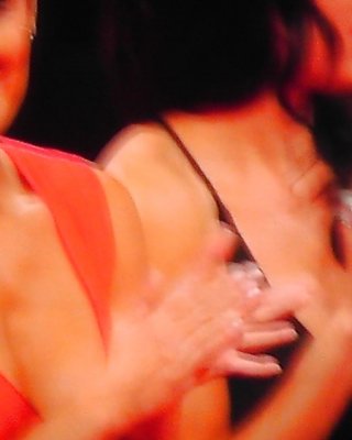 citra anastasya recommends Wwe Bella Twins Nip Slip