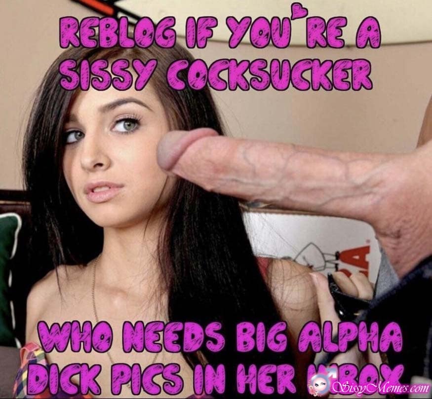 daniel o leary recommends big cock sissy captions pic