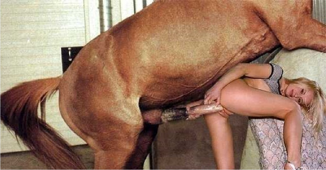adnan khoury add photo women having sex with donkey