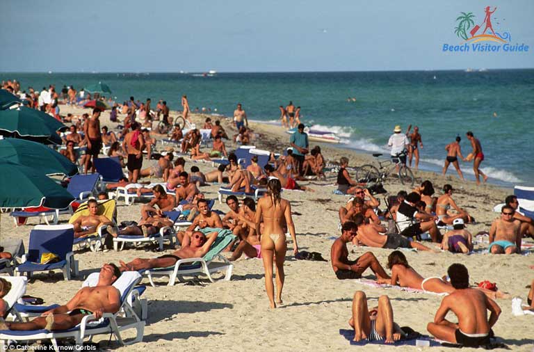 Nudist Beach In Miami Florida theponyrose twitter