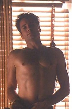 david duchovny naked